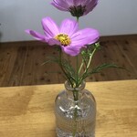 ウルーウール - 買ったガラスの花瓶　早速コスモスを