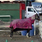 ガーデンレストラン 風舎 - 