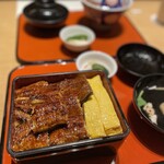 Sumiyaki Unagi Kashiwa Togawa - 