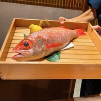 のどぐろ専門 銀座中俣 はなれ - 