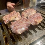 ホルモン コウ - テール