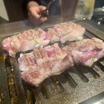 ホルモン コウ - テール