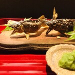 和 藤もと - 天然鮎　感動級の美味しさ