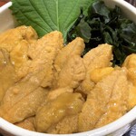 片倉商店 - 生うに丼