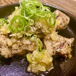 Kagoshimaken Kirishimashi Tsukada Noujou -  名物地鶏のむね焼きさっぱり葱生姜