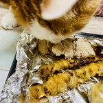 炭火居酒屋 炎 - 