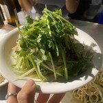 チャオバンブー - 