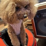 THE NUTS EXCHANGE - 食べたいらしい？ｗ