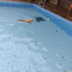 ガーデンリゾート淡路島 ハナアンドキッス - 