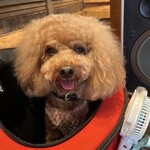 THE NUTS EXCHANGE - 外は暑かったけど、涼しくてご機嫌♪ｗ