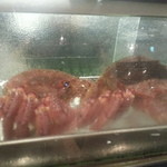 マリスケリア ソル - 