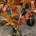 セララバアド - 