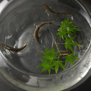 てんぷら 山の上 Roppongi_1