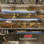 レッドロブスター - 