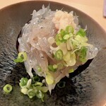 木挽町 とも樹 - 朝獲れの小田原のシラス。二時に出港、五時に帰港、午前中に木挽町まで即納