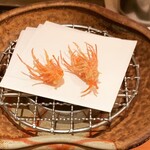 天ぷら 銀座おのでら 並木通り店 - 