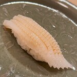 木挽町 とも樹 - 泥障烏賊です