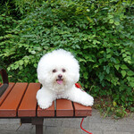 旬采 - 初めて！お隣の公園へ・・