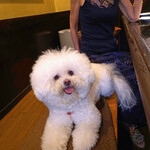 旬采 - ベアトリーチェの特等席