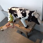 彦根みやげ本陣 - 