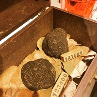 マルゴット エ バッチャーレ - 