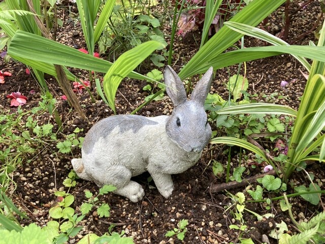 フェリシア（Felicia） - 仙台市泉区その他（カフェ）の写真