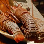 スガラボヴィー - 