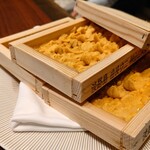 スガラボヴィー - 