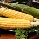 スガラボヴィー - 