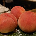 スガラボヴィー - 