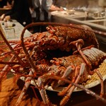 スガラボヴィー - 