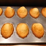 スガラボヴィー - 