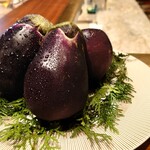 スガラボヴィー - 