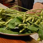 スガラボヴィー - 