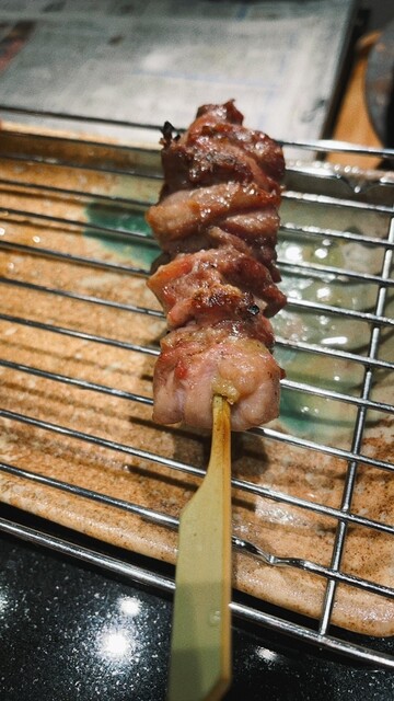 Tosaya Muroto photo 5