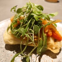 GapricE - 