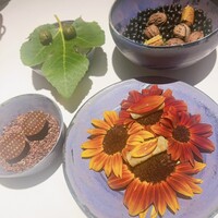 レスピラシオン - 