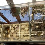 水沼さざえ店 - 新鮮な海の幸オールスターズ