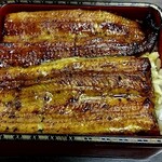 Unagi Hashimoto - 