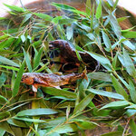 海老亭別館 - 鮎