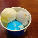 ブルーシールアイスクリーム - ジュニアサイズのトリプル