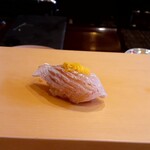 Sushi Koma - 