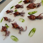 SEZANNE - もう一度、ホタルイカさま