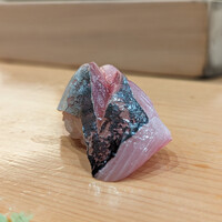 鮨 しゅん輔 阿佐ヶ谷 - 