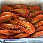 海紋 - ギッシリと海のルビーが詰まってます。