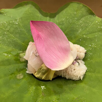 赤坂 菊乃井 - 昼懐石１５７３０円。明石天然鯛、鱧落とし。鱧出汁に落とし、温かい状態で供される鱧は、旨味がしっかり味わえます（╹◡╹）（╹◡╹）