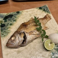 御茶ノ水 TEN - 