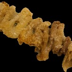 Kawa (Chicken Skin)