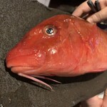 魚酔 - オジサン