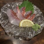 魚酔 - オジサン刺し